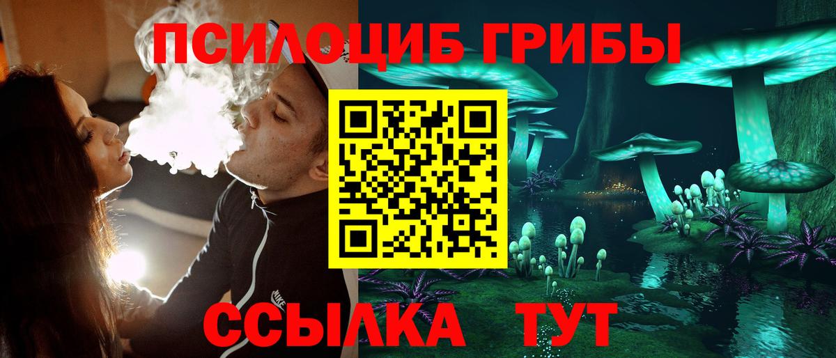 Рославль  Псилоцибиновые грибы Cubensis  Псилоцибиновые грибы Cubensis  Вход с VPN 
